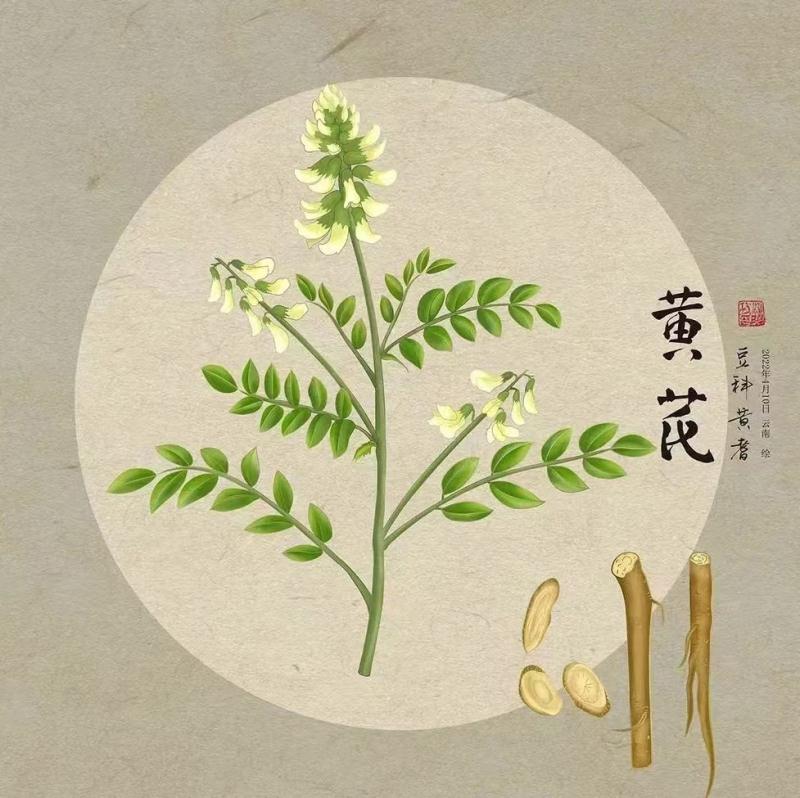 耐药菌的致命负担