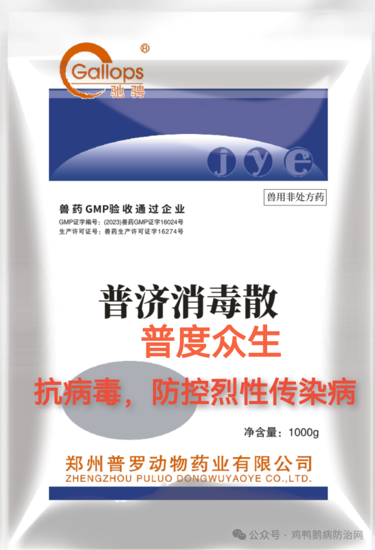驰骋普度众生--普济消毒散 在鸭鹅临床的使用方法