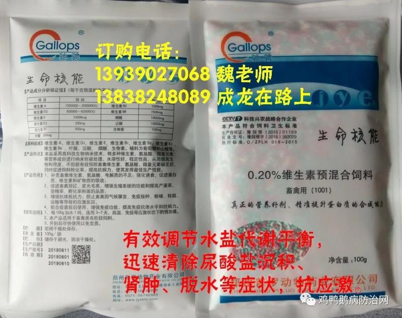 维生素效价的互换公式（价值收藏）