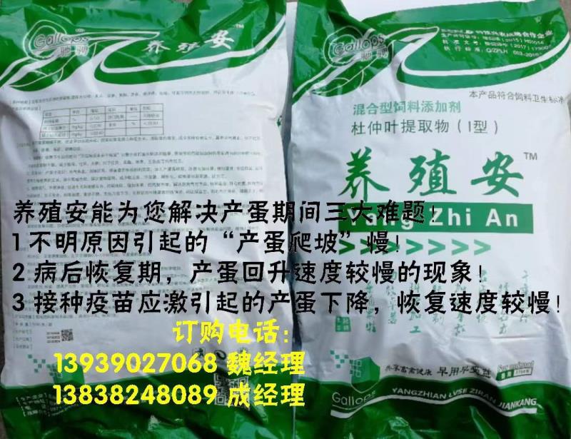 驰骋养殖安，为蛋鸡健康“保驾护航”！