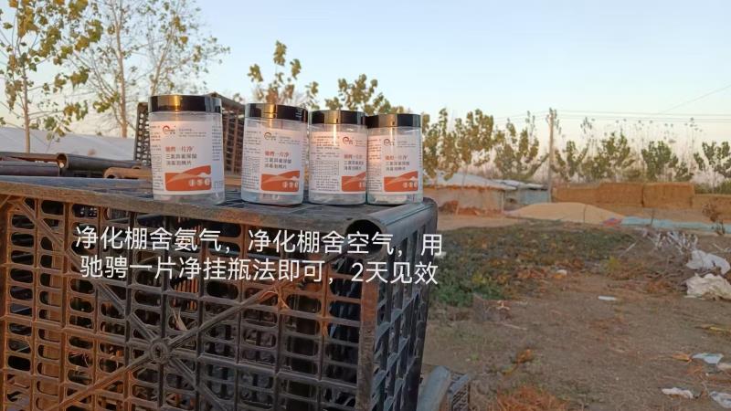 2025年4月25日 鸭蛋 肉鸭 鹅蛋 麻鸭 市场价格走势