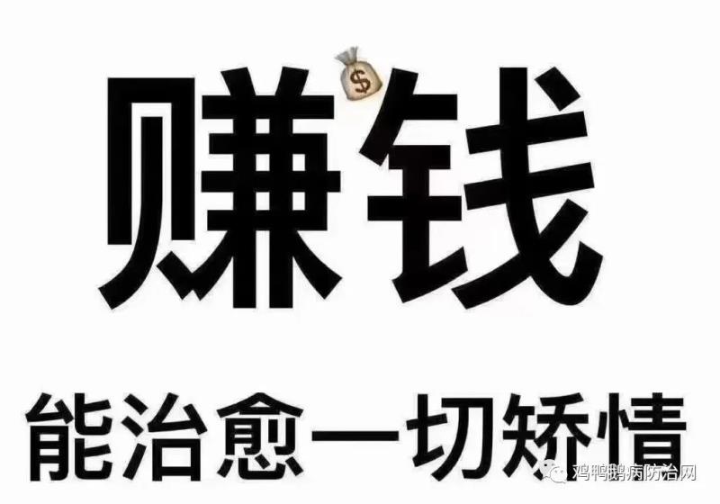 《毛选》100条干货分类提炼（精简版）