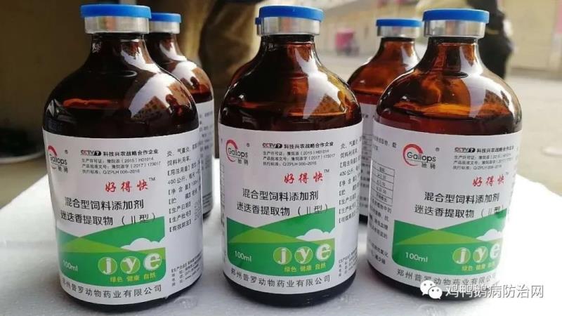 肉鸡养殖想降低药费，听听魏老师怎么说