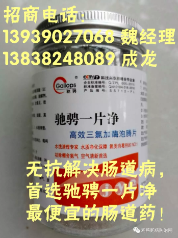 2026年4月18日 鸭蛋 肉鸭 鹅蛋 麻鸭 市场价格走势