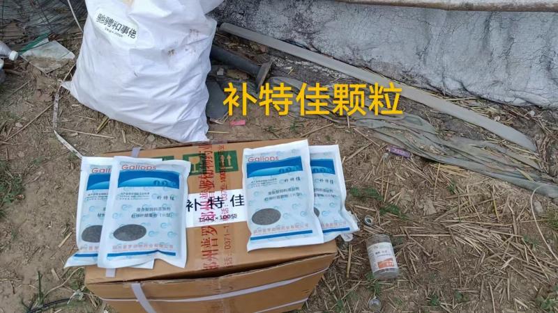 26年06月06日全国各地最新兔价行情！缺兔不涨？