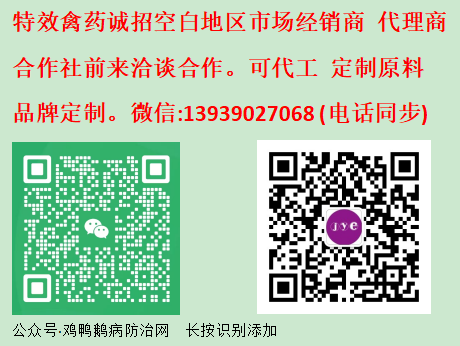 盐酸沙拉沙星原药治禽病：十大黄金搭配组合方案