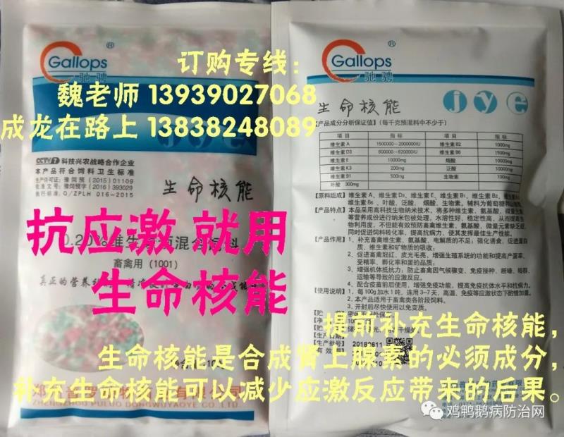 2026年7月1日 鸡蛋 淘汰鸡 毛鸡 817肉鸡 价格行情走势