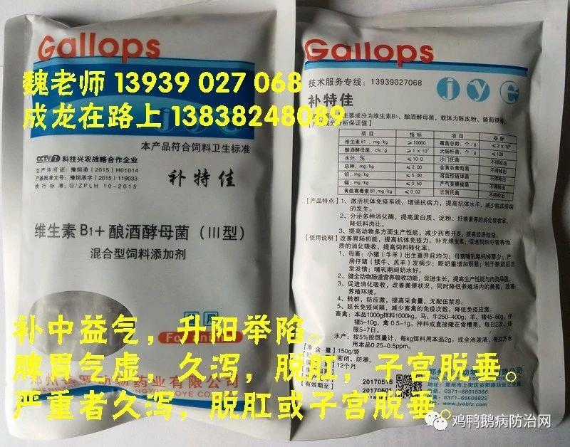 26年8月4日 全国各地最新兔价行情！快速上涨中！