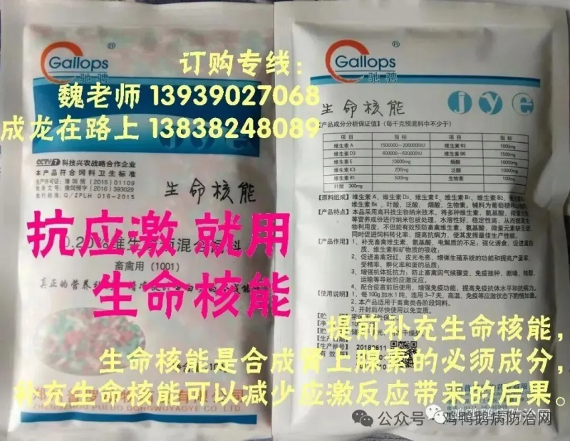 一文带您了解应激时的营养刚需